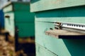 A row of bee hives in the garden with three on background. Honey bees in a honey bee farm. Horizontal outside shot.