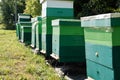 row of beehives on apiary outdoors. Royalty Free Stock Photo