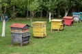 Row of beehives in a fruits tree garden.