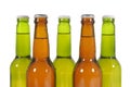 Row of cold green and brown lager pilsner beer bottles isolated on white background Royalty Free Stock Photo