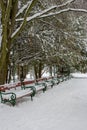 Row of benches covered with snow under trees. Winter snowy park with benches. Frozen alley in park. Benches in snow. Royalty Free Stock Photo