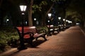 a row of benches in a park at night