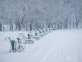 Row of benches in the park at snowfall