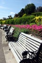 Row of benches in summery park Royalty Free Stock Photo