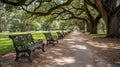A Row of Benches Under a Canopy of Trees in a Sunny Park Royalty Free Stock Photo