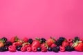 Row of Berries and Raspberries on Pink Background Royalty Free Stock Photo