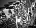 Row of bicycles, Barcelona