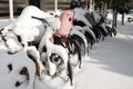 Row of bicycles covered with snow Royalty Free Stock Photo