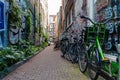 Row of bicycles parked in empty alley with graffiti on the walls