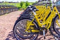 Row of bicycles parked. Yellow bicycles stand on a parking for rent.To save energy and environmentally friendly. Selective focus
