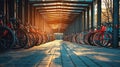 Row of bicycles in sunny park pathway with autumn trees and shadows Royalty Free Stock Photo