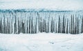 Row of big frosty icicles in nature.Row of big frosty icicles in nature. Icicles Background