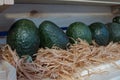 Row of big green organic avocados in a wooden shelf Royalty Free Stock Photo