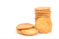 Row of biscuits cookies Royalty Free Stock Photo