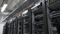 Row of bitcoin miners set up on the wired shelfs. Computer for Bitcoin mining. cables plug to motherboard for mining