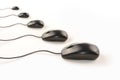 Row of black mouses isolated on whit