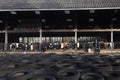 Row of black and white holstein cows in half open stable behind