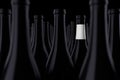 Row of Black Wine Bottles, One with a Blank White Label for Your Design. 3d Rendering