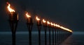 A row of blazing torches pierces through the darkness, illuminating the night. The