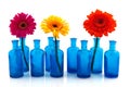 Row blue glass vases with colorful Gerber Royalty Free Stock Photo