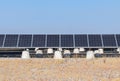 A row of blue solar panels