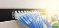 Row of blue UTP network cables that are connected to a switch Royalty Free Stock Photo