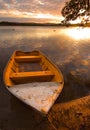 Row-boat and pelicans