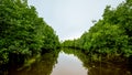 Row a boat in a river through the deep forest, adventure concept Royalty Free Stock Photo