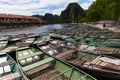 Row boat tam coc