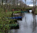 Row Boats and Skiffs in Killarney National Park Royalty Free Stock Photo