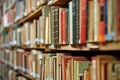 Row of Books on Bookshelf Royalty Free Stock Photo