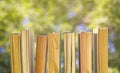 Row of books Royalty Free Stock Photo
