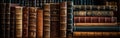 Row of Books on Wooden Shelf Royalty Free Stock Photo