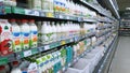 Row of bottles of Milk and dairy products on supermarket shelves. Grocery shopping. Retail industry. Rack. Fresh food store. Natu
