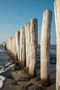 Breakwaters in the North Sea, Cadzand Bad, Holland Royalty Free Stock Photo