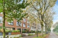 a row of brick apartment buildings with trees in front