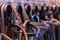 Row of bridles in a tack room of a horse riding farm Royalty Free Stock Photo