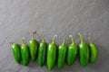 A row of bright green jalapeno peppers on a gray background with copy space Royalty Free Stock Photo