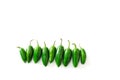 A row of bright green jalapeno peppers isolated on a white background with copy space Royalty Free Stock Photo