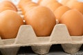 Row of brown chicken eggs in egg carton Royalty Free Stock Photo