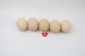Brown Chicken Eggs Row and red love Royalty Free Stock Photo