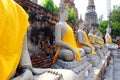 Row of Buddha statue landmark of Thailand and Asia