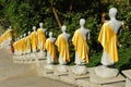 Row of Buddha Statues