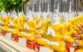 Row of Buddha statues at Myanmar Temple