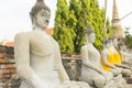 Row of Buddha statues in Wat Yai Chaimongkol in Ayutthaya Royalty Free Stock Photo