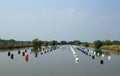 Row of buoys in aquatic farm Royalty Free Stock Photo