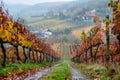 Row of bushes with green leaves on grape plantation against hill in autumn Royalty Free Stock Photo