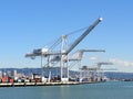 Row of Cargo Cranes tower over shoreline in Oakland Harbor on a
