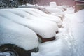 A row of cars standing in the parking lot covered with a thick layer of snow.