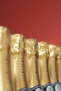 Row of champagne bottles close-up selective focus